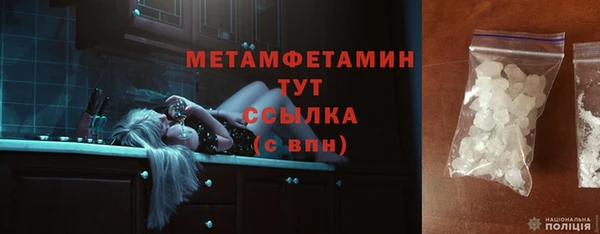 шишки Новодвинск