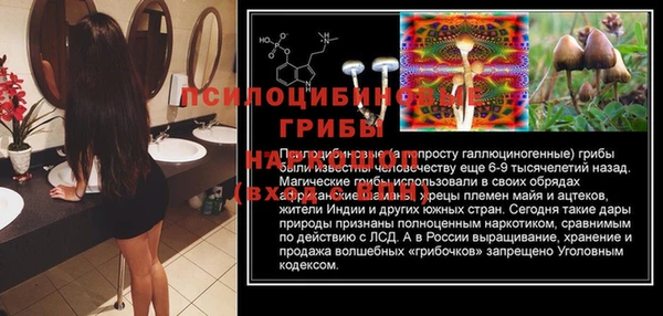 амф Липки