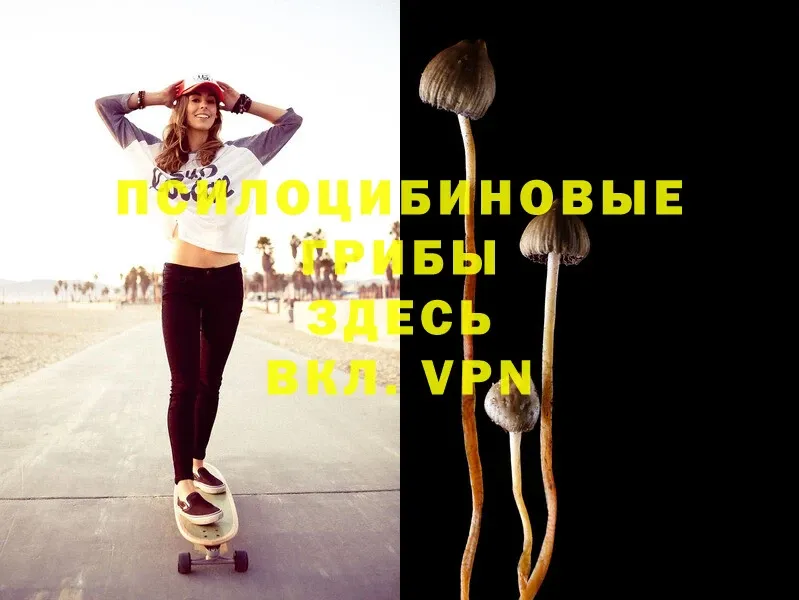 Галлюциногенные грибы Magic Shrooms  Эртиль 